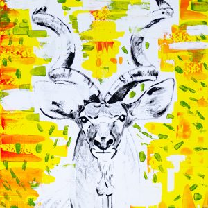 Kudu