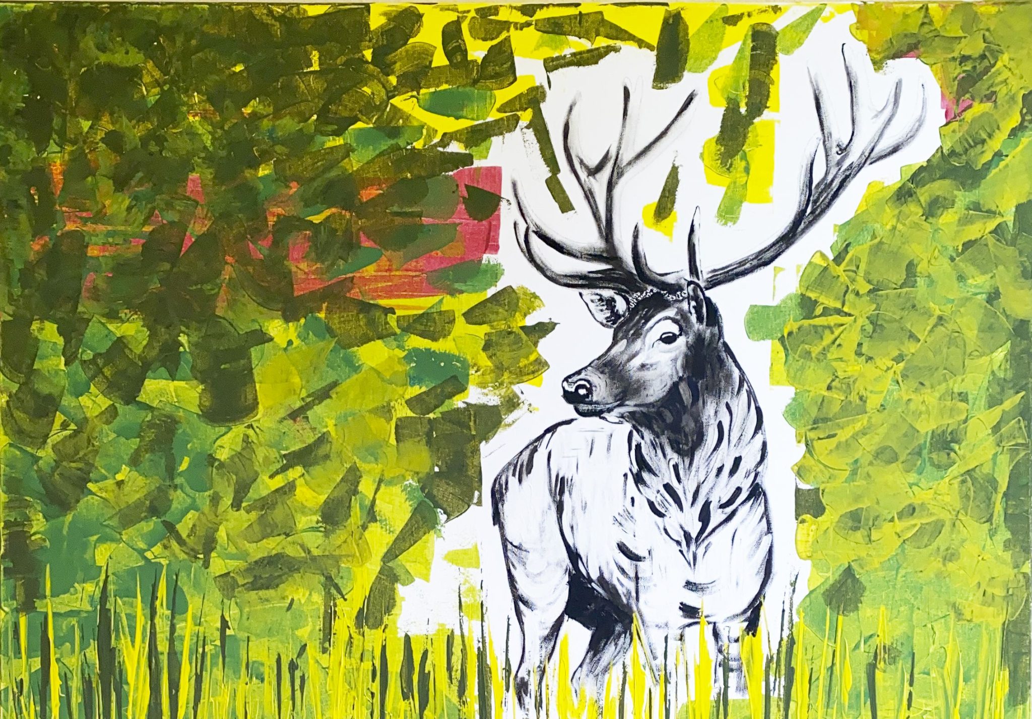 Hirsch Constanze Freifrau von UslarGleichen