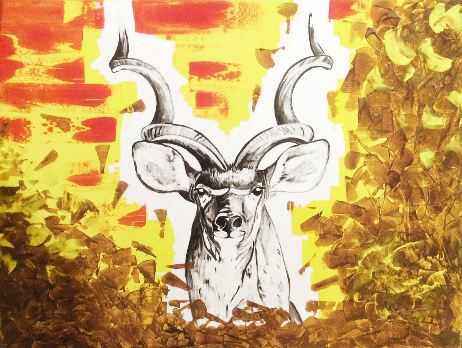 Kudu, braun