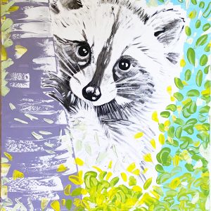 Waschbär
