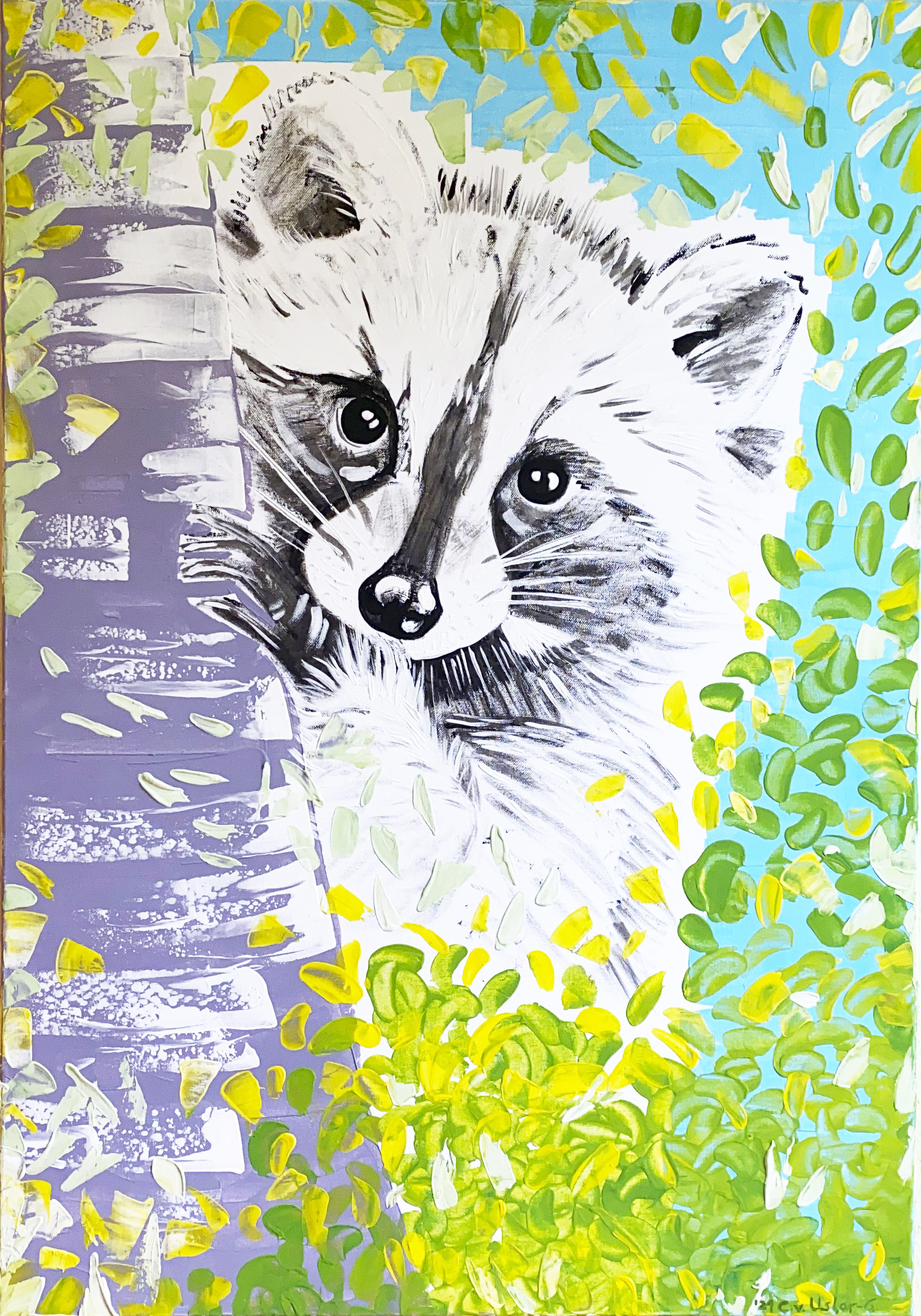 Waschbär