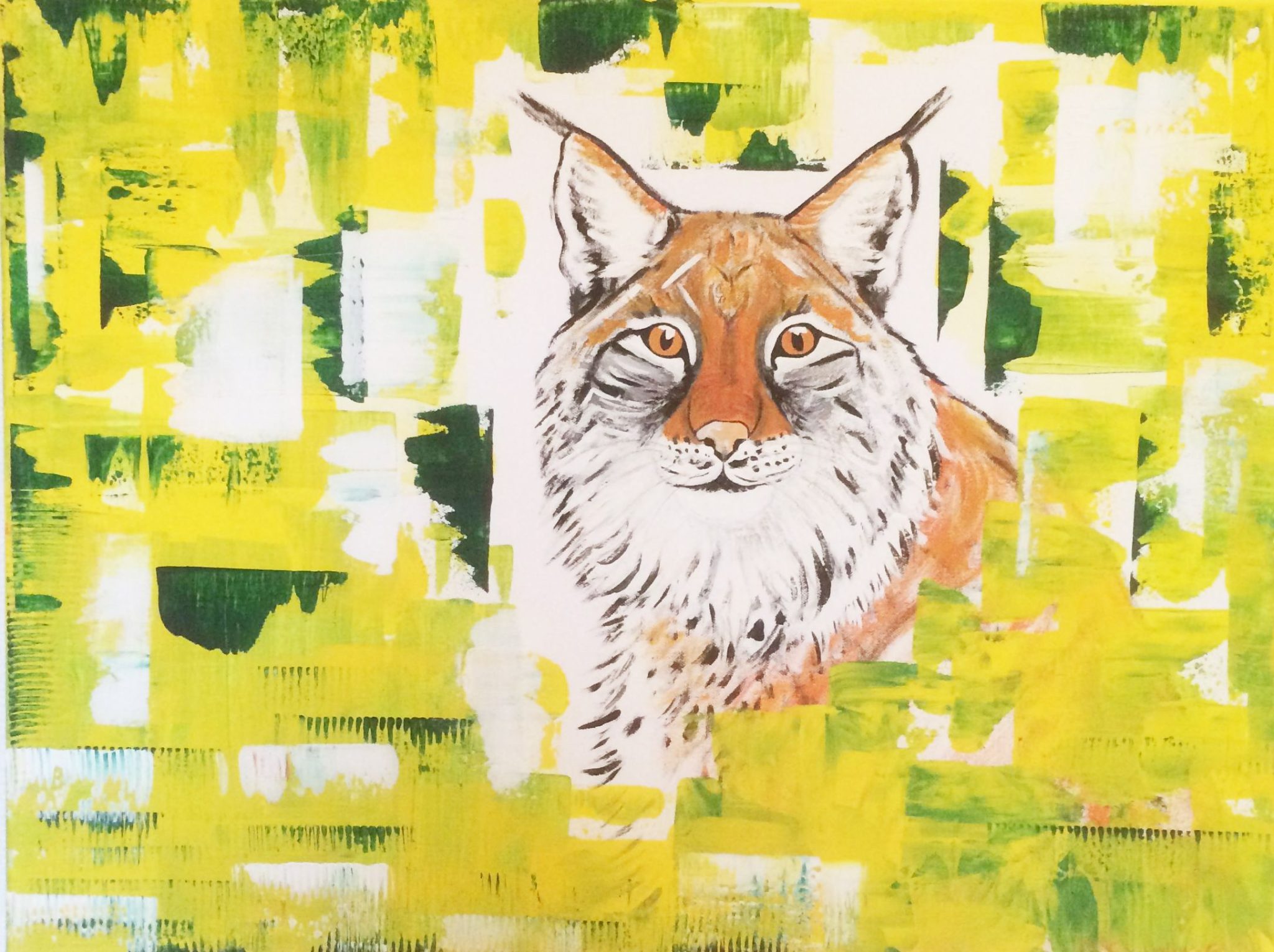Luchs, orange