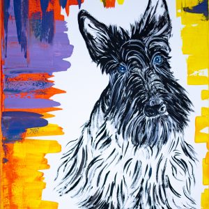 Scottish Terrier