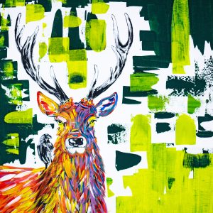 Hirsch, bunt