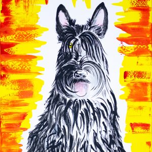 Scottish Terrier 2