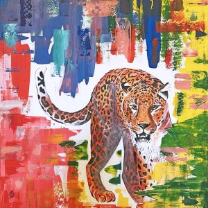 Leopard, Afrika