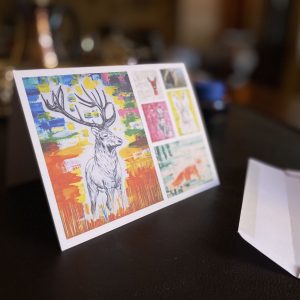 Postkarten 10 Stück, mit Umschlag