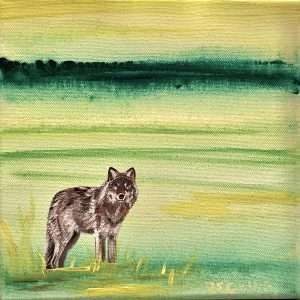 Wolf