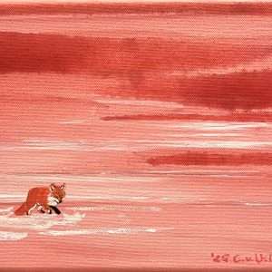 Fuchs schnürt durch den Schnee