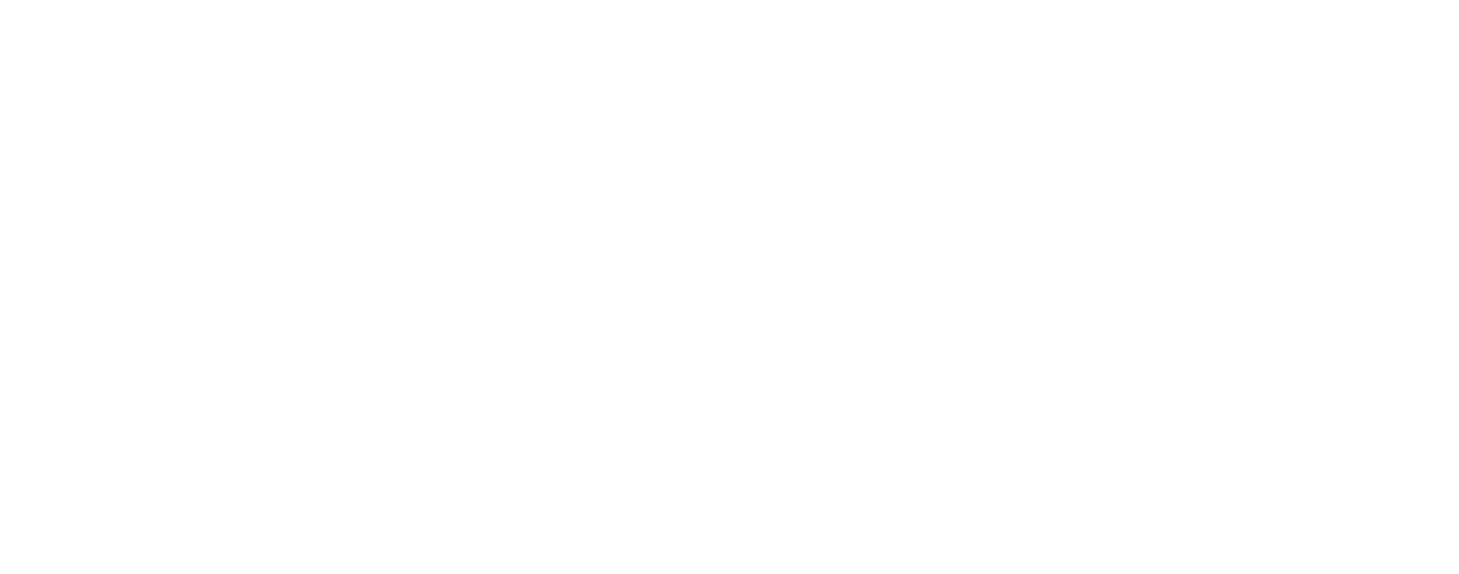 light logo
