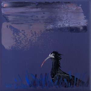 Waldrapp