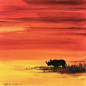 Nashorn im Abendrot