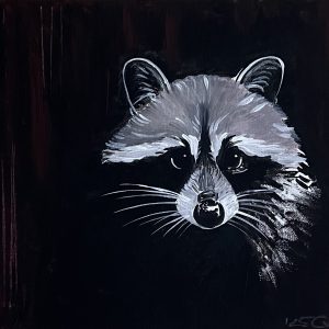 Waschbär