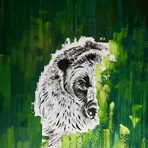 Der Bär