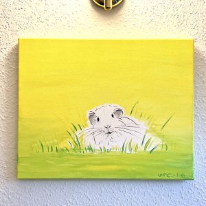 Meerschwein im Grünen