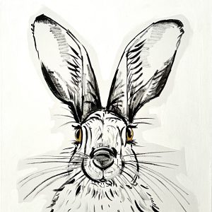 Hase schwarz-weiß