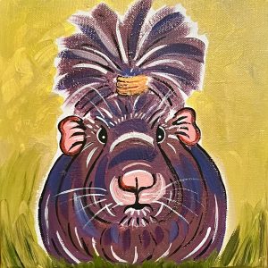 Meerschwein Weibchen