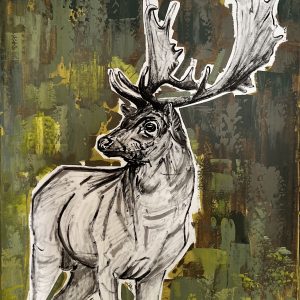 Damhirsch